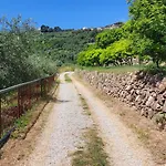 Il Nido Del Viaggiatore *