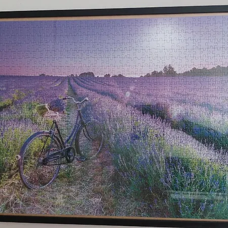 Il Nido Del Viaggiatore *