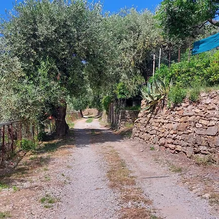 Il Nido Del Viaggiatore * Vallebona