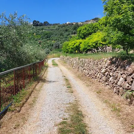 Il Nido Del Viaggiatore *