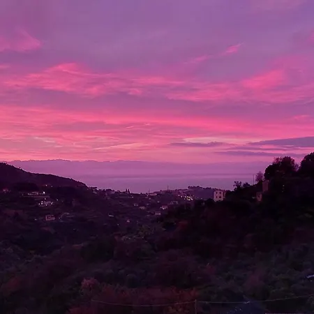 Il Nido Del Viaggiatore בית חווה Vallebona