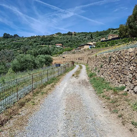 Il Nido Del Viaggiatore 农家乐 Vallebona