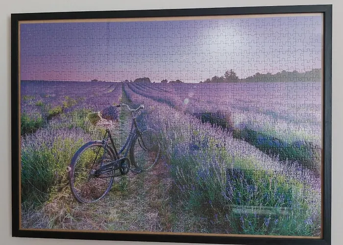 Il Nido Del Viaggiatore *